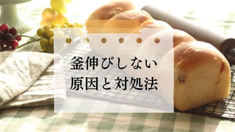 パン作りの一次発酵が膨らまない原因と6つの対処法