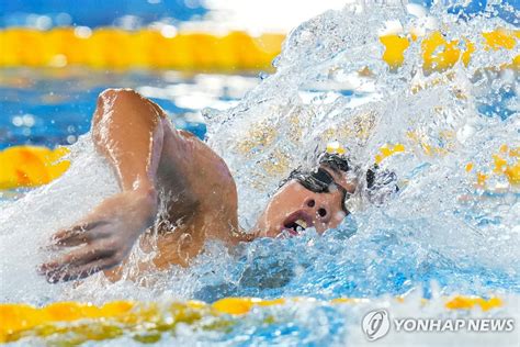 황선우 세계선수권 자유형 200m 우승 쾌거3회 연속 메달 연합뉴스