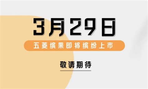 空间魔术师 五菱缤果将于3月29日正式上市