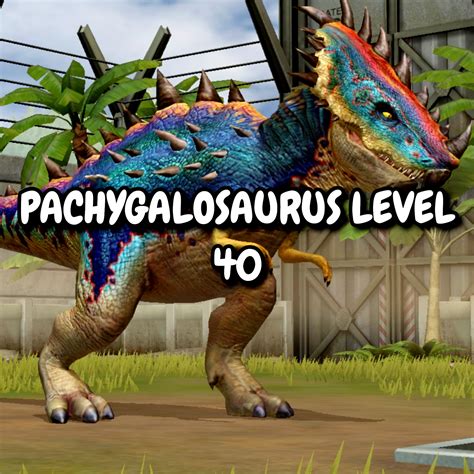 Jurassic World The Game Pachygalosaurus Max Level Etsy