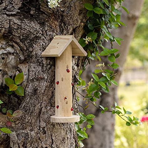 Navaris Wooden Ladybug Habitat Hanging Real Pinewood Flying Insect