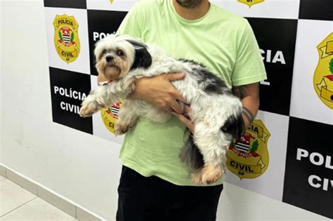 Cachorro vítima de maus tratos por tutor é resgatado pela polícia em