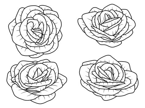 Hand Drawn Flower Sketch Line Art Illustration Set Vector Art