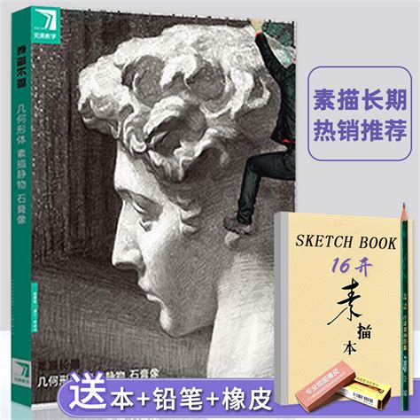 【正版现货】完美教学系列丛书完美教学素描长期几何形体素描静物石膏头像素描基础入门教程教材高艺联考美术书百里溪札丛虎窝淘