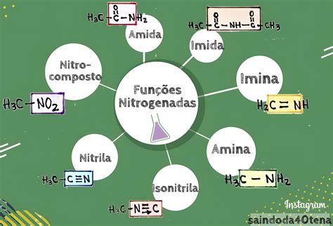 Compostos Nitrogenados - MAPA MENTAL SOBRE FUNÇÕES NITROGENADAS - Maps4Study