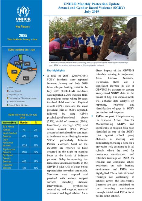 Document Unhcr Sexual And Gender Based Violence Thematic Report July 2019