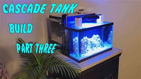 20g Cascade Reef Ep 3 Filling The Sump And New Life Youtube