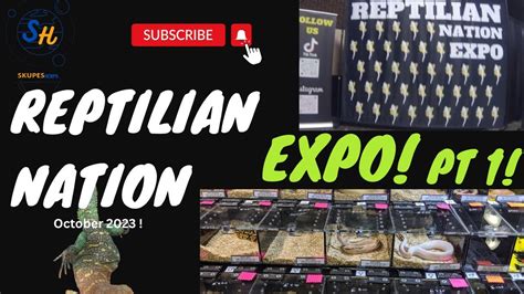 Reptilian Nation Expo Youtube