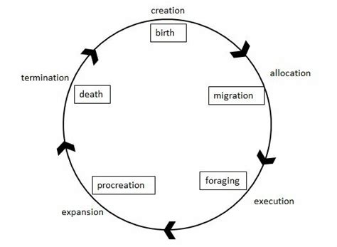 An economic life-cycle correlated to an ecological life-cycle ...