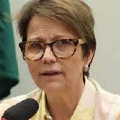 Mp Do Agro Sancionada Facilitar Acesso Ao Financiamento Rural Brasilagro