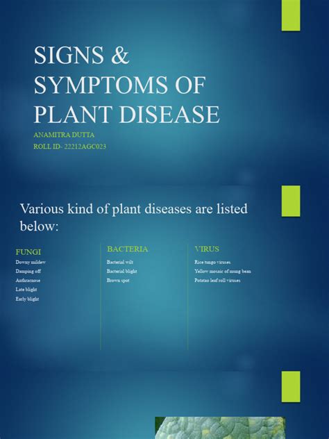 Signs & Symptoms of Plant Disease (Recovered) Original 1 | PDF