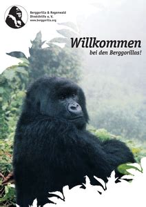 Poster Berggorilla Regenwald Direkthilfe E V