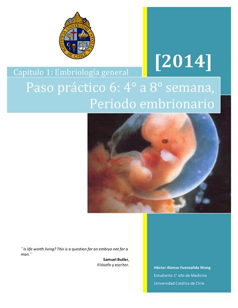 Resumen Periodo Embrionario 1 General Paso 6 A Semana Periodo