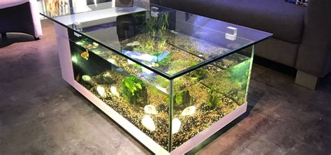 Aquarium Aquatlantis Comparatif Avis Complet 2021