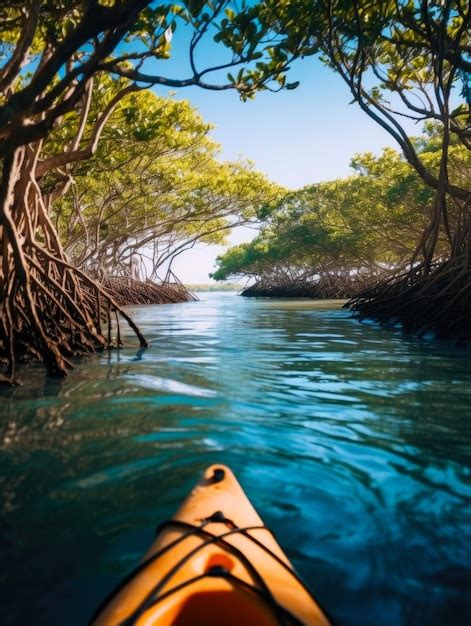 El Kayak Navega A Través Del Río De Manglares El Concepto Promueve La