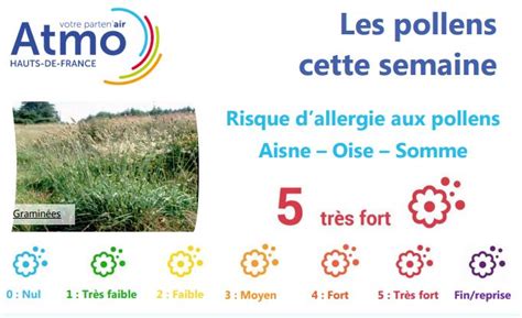 Oise Risque D Allergie Tr S Fort Aux Pollens De Gramin Es Oise M Dia