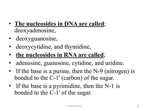 5 Nucleotides And Nucleic Acids Lecture Ppt Free Download