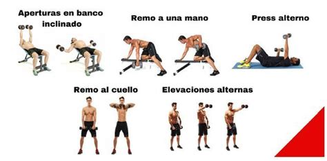 El mejor entrenamientos con mancuernas en casa o en el gimnasio 5 días