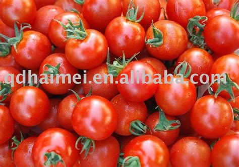 Big Fresh Red Tomato Chinese Onechina Haimei Price Supplier 21food