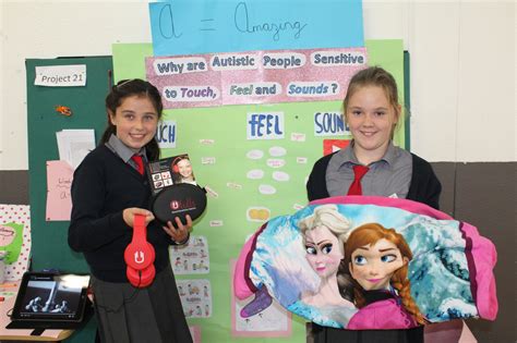 Timahoe Ns Hold Annual Mini Scientist Exhibition Laois Today