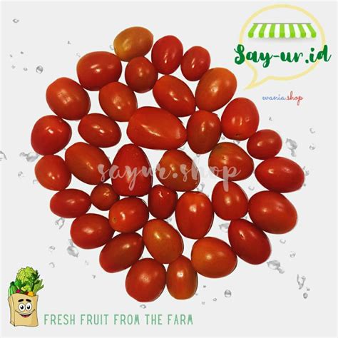 Jual Tomat Cherry Lonjong Hidroponik 250 Gram Sayur Organik Segar