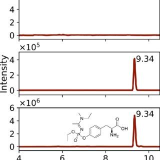 Extracted Ion Chromatograms M Z Of Phosphorylated