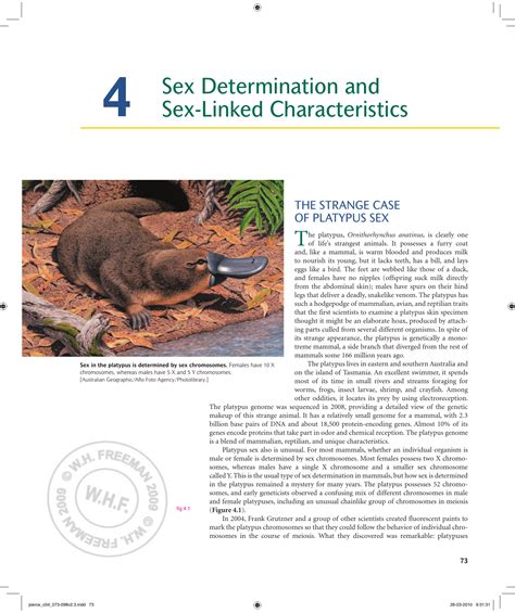 Sex Determination And Sex Linked Characteristics Here