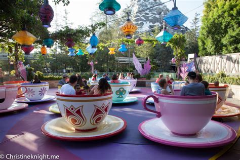 9 Reasons To Take Little Kids To Disneyland Adventure Baby