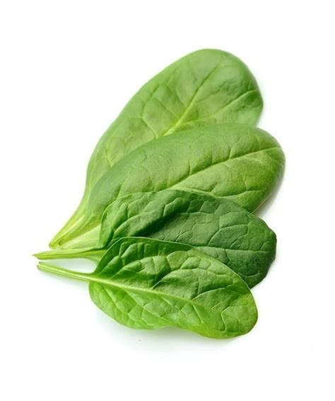 Premium Photo Fresh Spinach Isolated