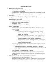 Understanding Bishop Scale Contractions And Stages Of Labor A