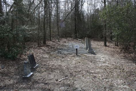 Barnes Lamm Cemetery Dans Springhill Township North Carolina