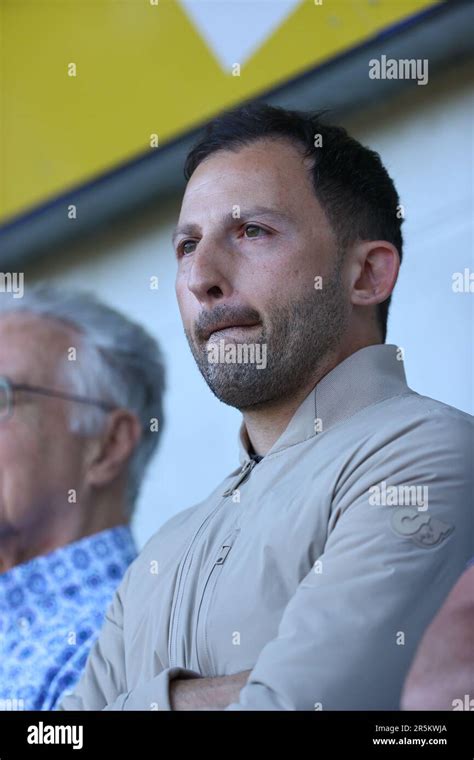 Genk Belgium Th June Belgium S Head Coach Domenico Tedesco