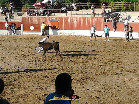 Navasfrias Fiestas De San Juan Navasfr As