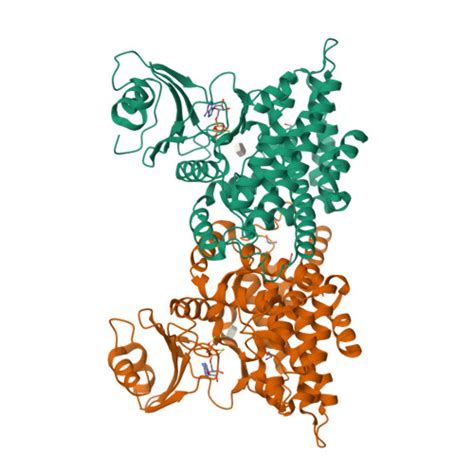 RCSB PDB 2PYW Structure Of A Thaliana 5 Methylthioribose Kinase In