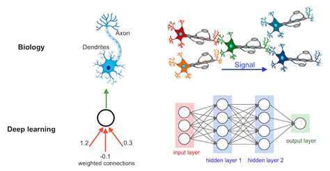 Overview Of Deep Learning Algorithms Clizarraga Uad7 Workshops Github Wiki