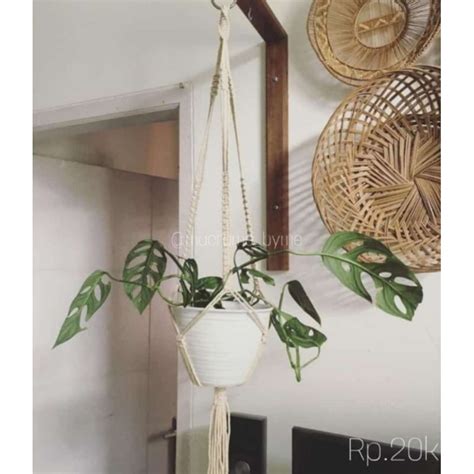 Jual Macrame Plant Hanger Makrame Pot Gantung Tali Pot Gantung Tali