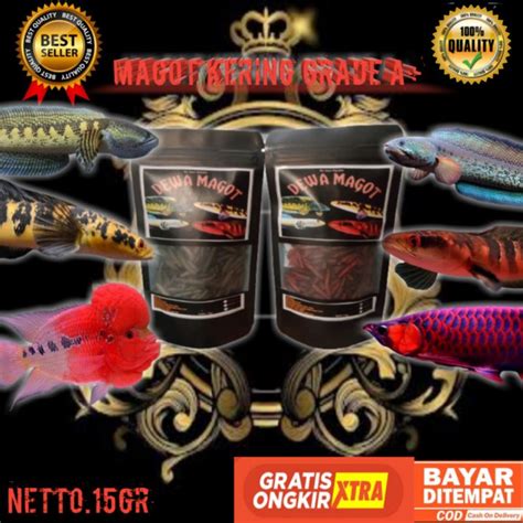 Jual MAGOT KERING PAKAN IKAN CHANA DAN IKAN PREDATOR LAINNYA Shopee