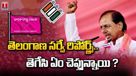 Surveys Predicts Brs Victory Ahead In Elections Cm Kcr T News