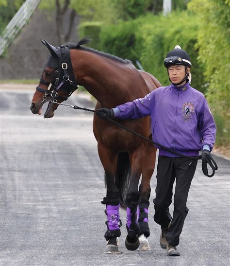 【ダービー】シャザーンは左回り、広いコース向きも「距離はギリギリだと思う」と友道師 3歳馬特集 競馬写真ニュース 日刊スポーツ