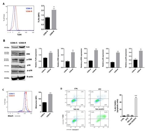 Combined Treatment With Tlr Inhibitor And Btz Overcame Proteasome