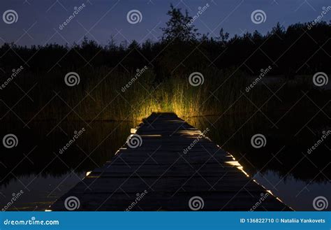 Wooden Bridge Over the River that Leads into the Woods Stock Photo - Image of flare, beautiful ...