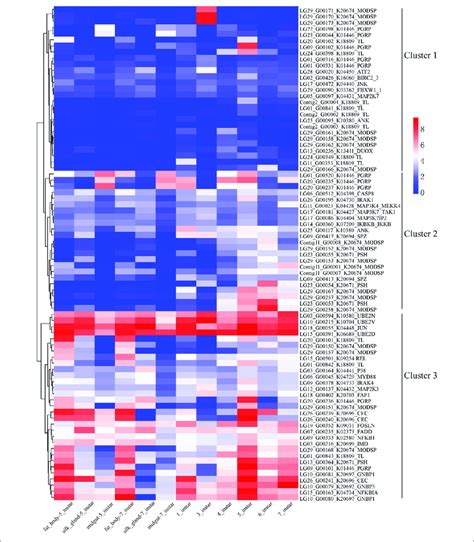 The Genes Of The Toll And Imd Signaling Pathways Identified In The D Download Scientific