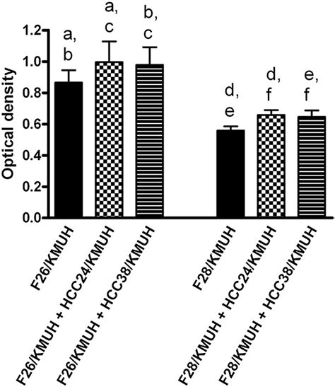 Hepatocellular Carcinoma Cells Cause Different Responses In Expressions