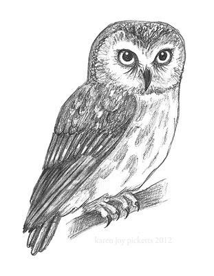 Owl Sketch Google Search Eule Zeichnung Eulenbilder Zeichnen Ideen