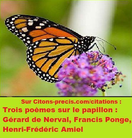 Trois Po Mes Sur Le Papillon G Rard De Nerval Francis Ponge Henri