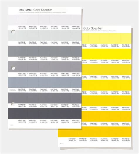 Grey Colour Pantone 70 Photo