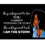 I Am The Storm Poster | Zazzle.com