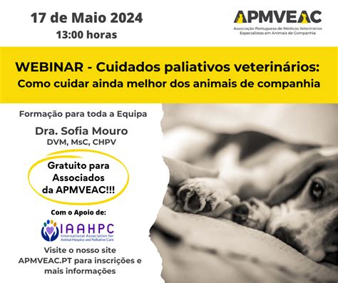 Webinar Cuidados Paliativos Veterin Rios Como Cuidar Ainda Melhor