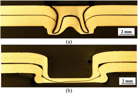 Optical Micrographs Of The Cross Sections Along The Symmetry Planes Of