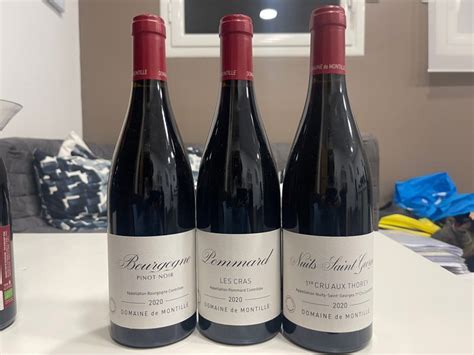 Domaine De Montille Bourgogne Pinot Noir Pommard Les Cras